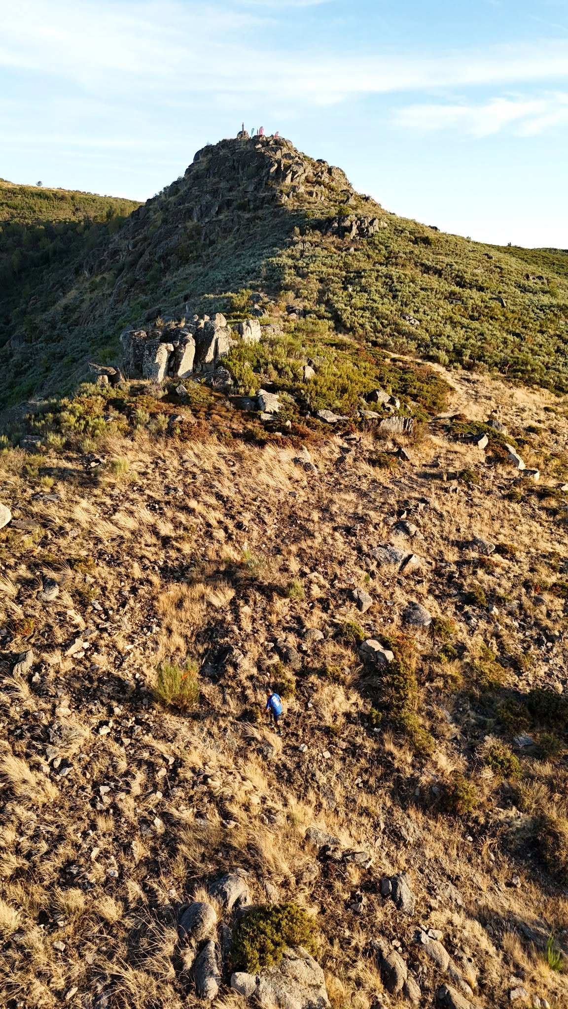 Lalim Vertical 2026 image